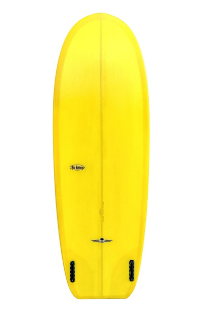 Mini Simmons Surfboard